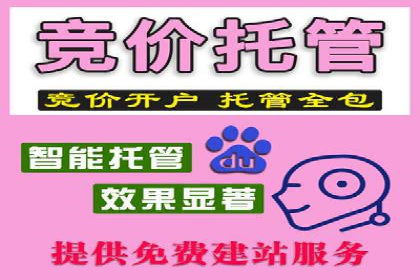 案例解析：竞价代运营如何实现高效广告投放